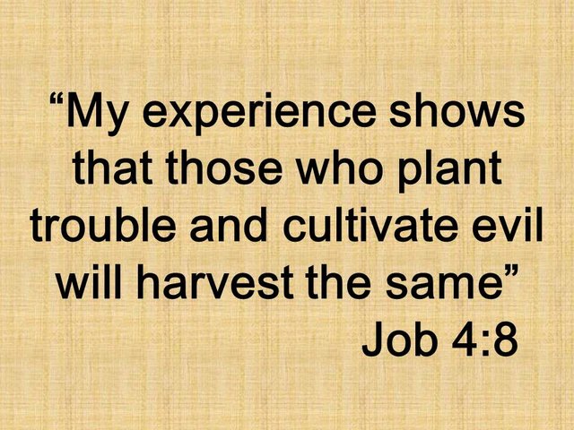 Wisdom in the Book of Job. My experience shows that those who plant trouble and cultivate evil will harvest the same. Job 4,8.jpg