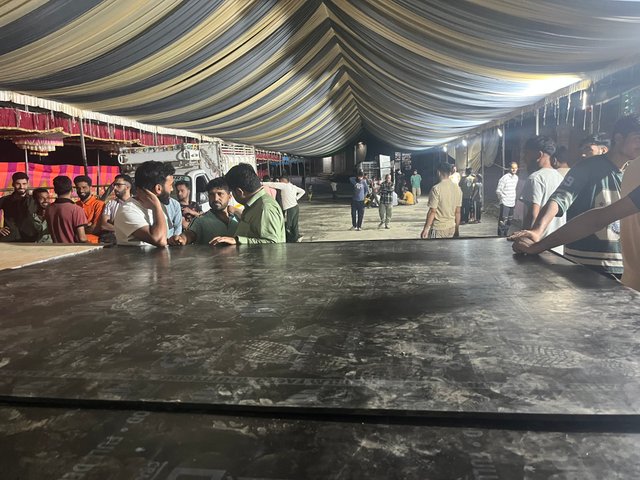 IMG_4347.jpeg