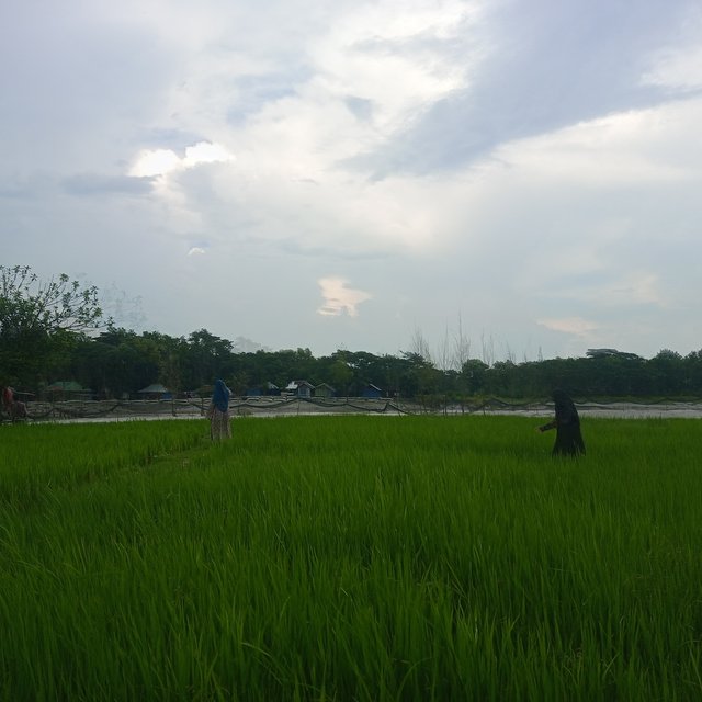 IMG_20250928_153747.jpg