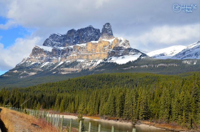 castle mountain.jpg