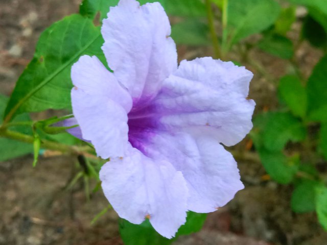 IMG_20250913_061444.jpg