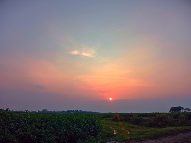 IMG_20250617_182803.jpg