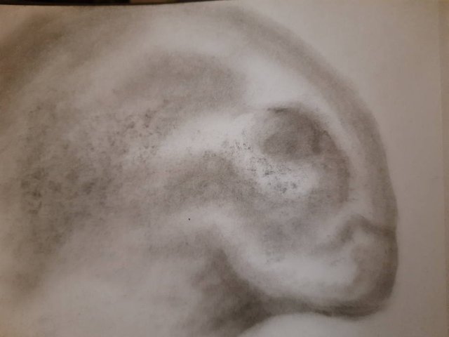 20250929_103334.jpg