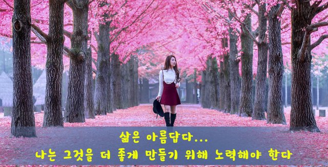 beautiful-girl korea.jpg