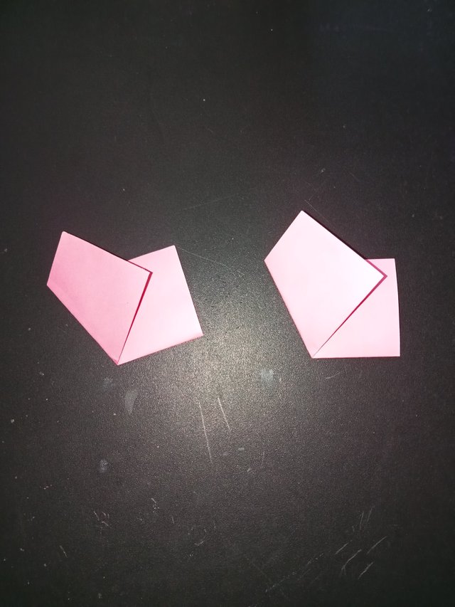 1000028112.jpg