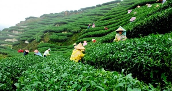 Top-attractions-in-Sylhet-e1544760268278.jpg