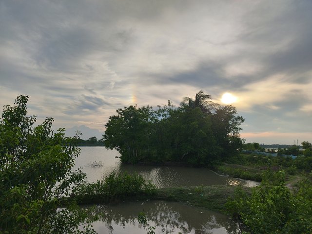 IMG_20250615_174953.jpg