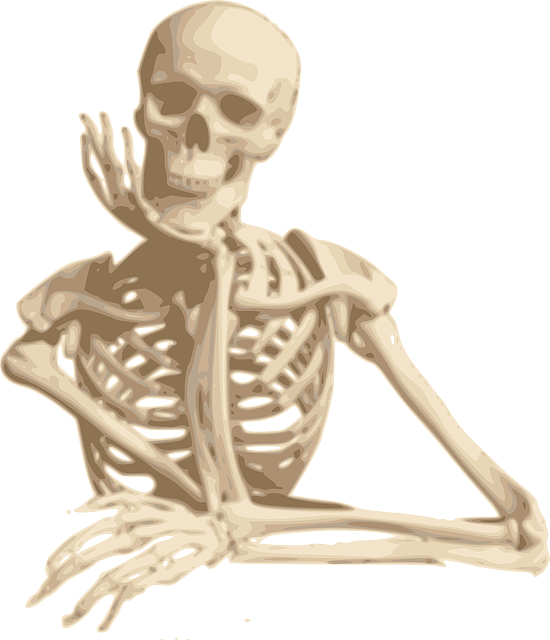 skeleton-30160_640.png