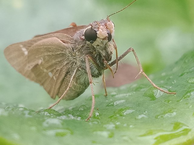 IMG20251002142103.jpg