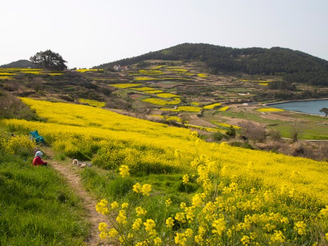 Cheongsando-Island-GettyImages-592692256.jpg