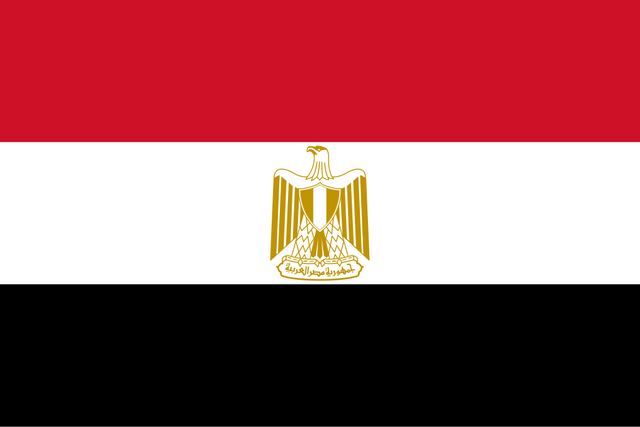 Flag_of_Egypt.svg.png