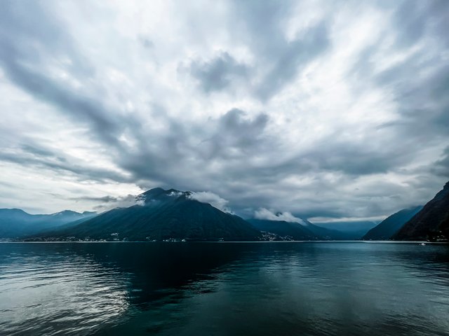 IMG_5895.jpg