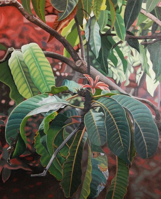 Mango 100x81cm.jpg