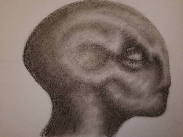 20250825_112905.jpg