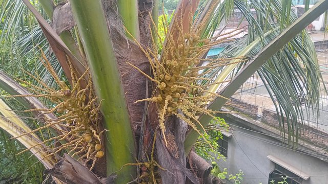20250820_073125.jpg