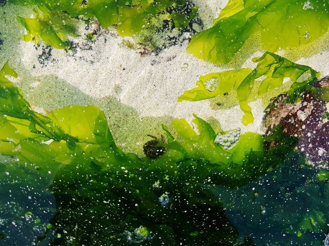 20180713_153314.jpg