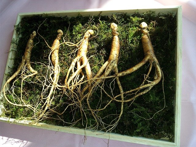 ginseng-641890_640.jpg