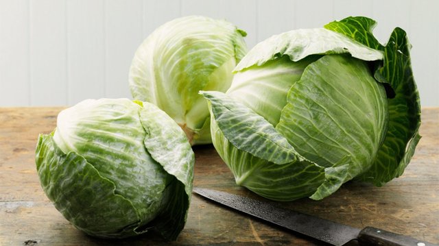 cabbage-1296x728-header.jpg