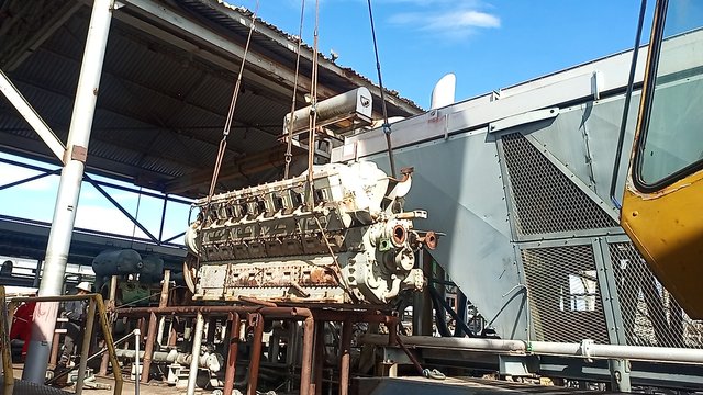 IMG_20250424_154205_7.jpg