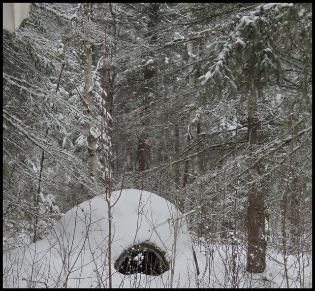 snow covered sweat lodge surrounded by snowy trees.JPG