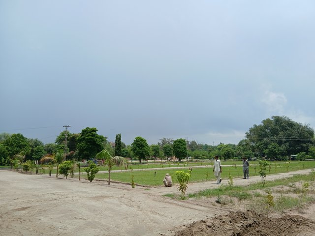 1000065638.jpg