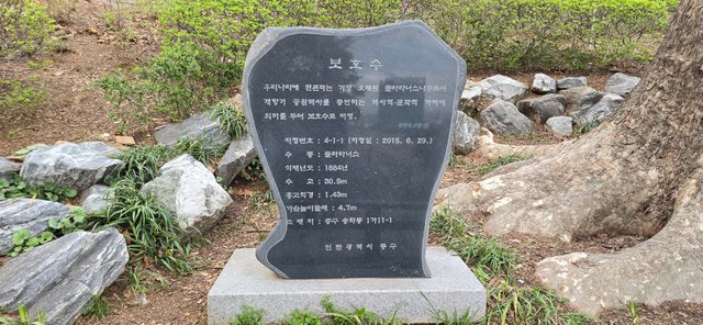 KakaoTalk_20250421_210042984_15.jpg