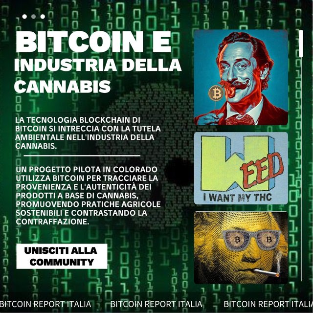 03_05 Bitcoin Cannabis Ganja Weed 420 Blockchain (1).jpeg