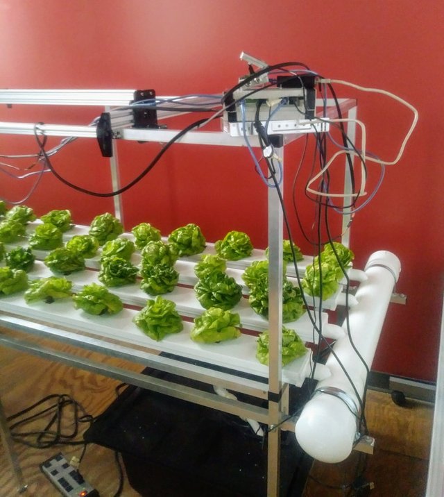 Greenhouse Automation Tech.jpg