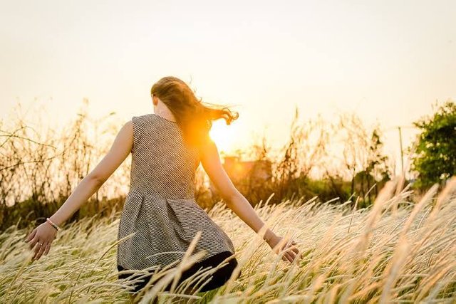 https://p Pixabay.com/photos/girl-field-sunset-grass-walking-4405820/
