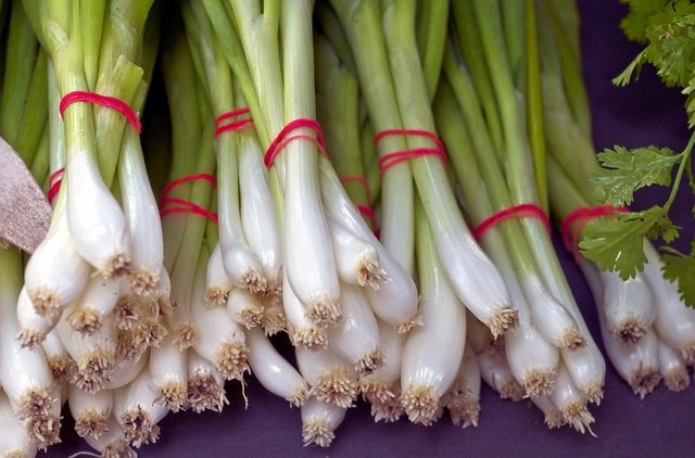 fresh-green-onion-bunches-4165548_1280.jpg