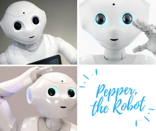 Pepper,the Robot.png