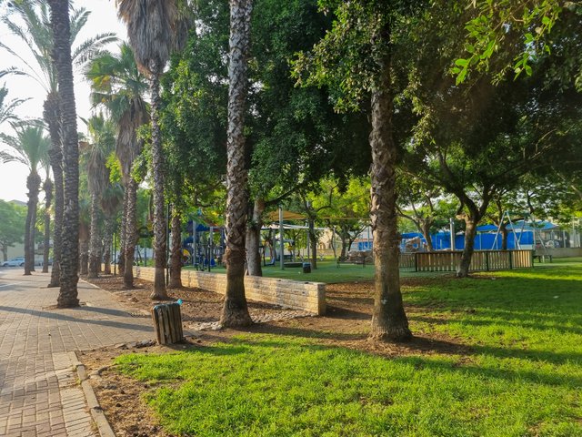 20250611_071007.jpg