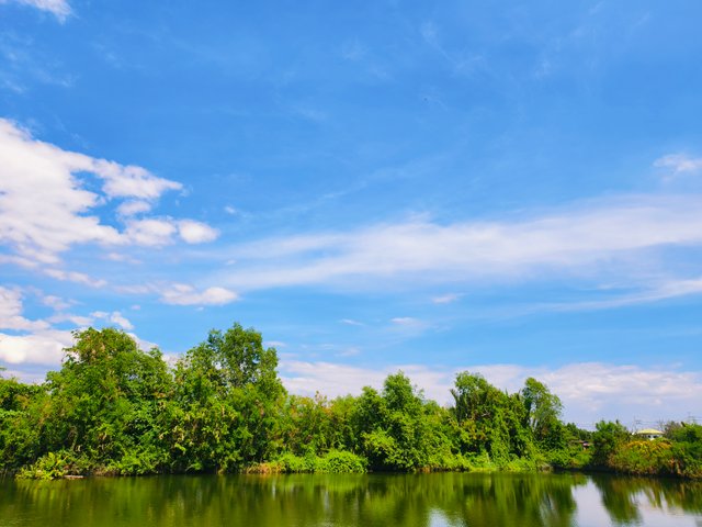 IMG_20250407_140534.jpg