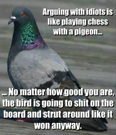 pidgeon.jpg