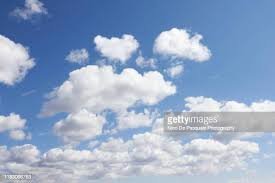 images (1).jpeg