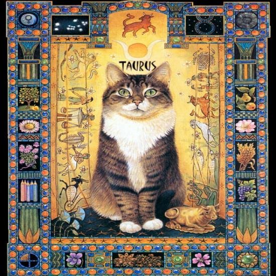 cat taurus blessings111.jpg