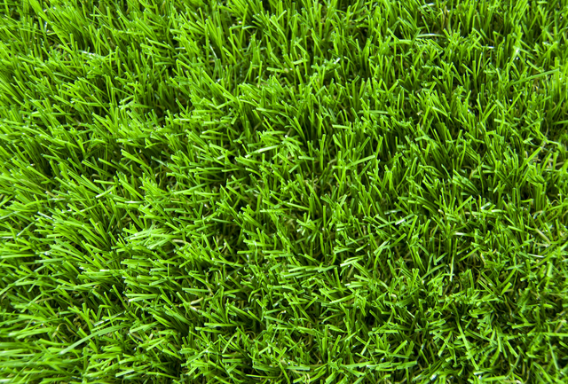 grass.png