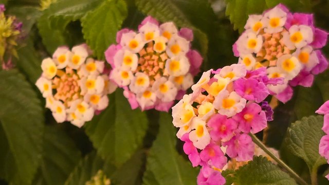 20250403_212031.jpg