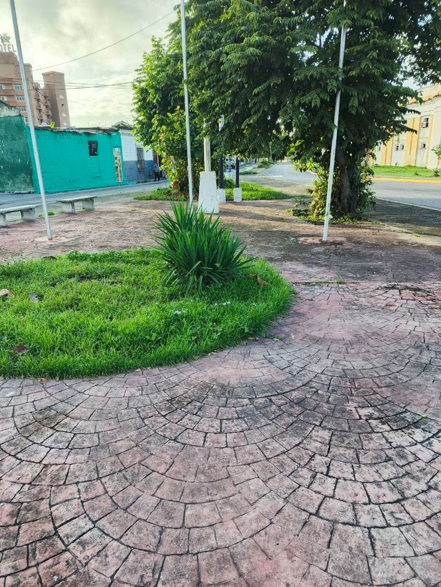 1000518008.jpg