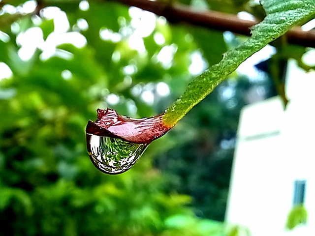 20250715_115042.jpg