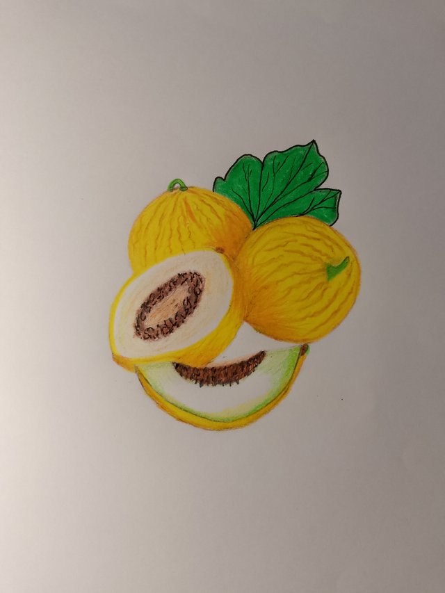 1000055131.jpg