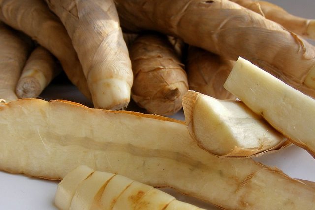 Arrowroot-GettyImages-120696375-58f7d54e3df78ca1598a48fa.jpg