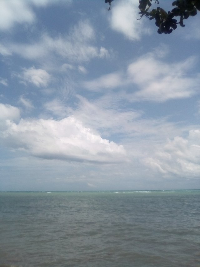 IMG_20180711_120705.jpg