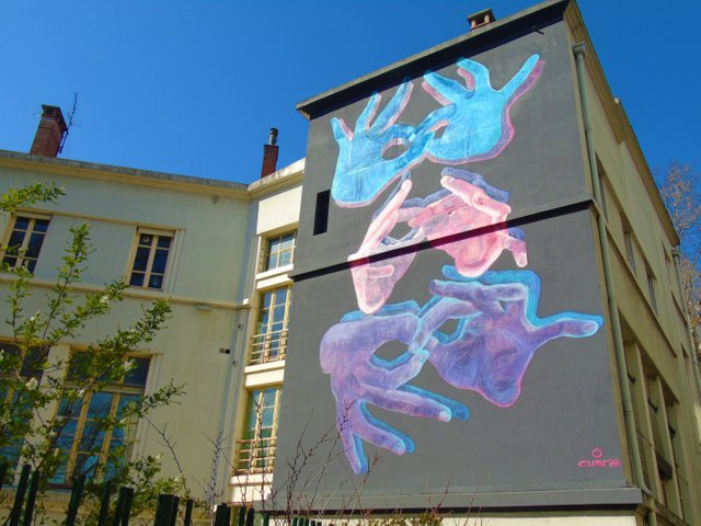 carolinafavale2018ileverte (5).JPG