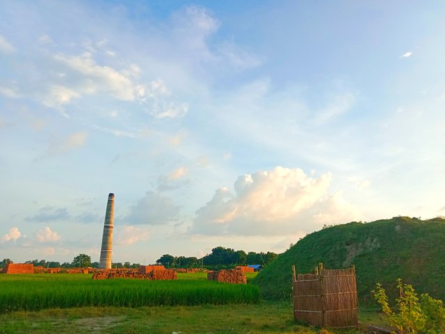 IMG_20250912_061314.jpg