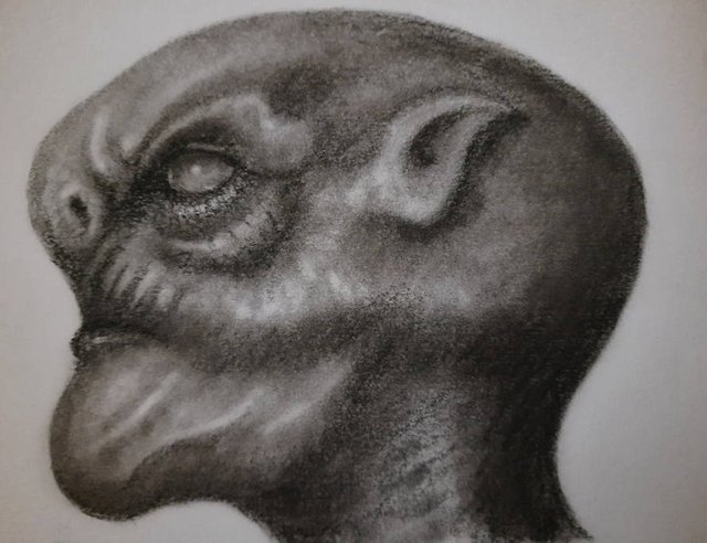 20250823_114220.jpg