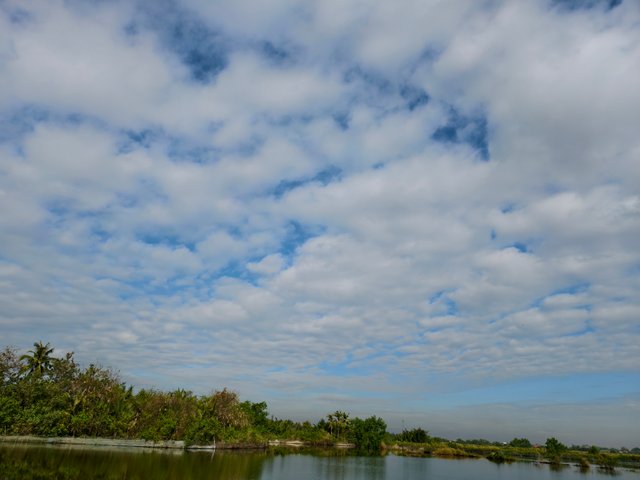 IMG_20250331_081627_1.jpg