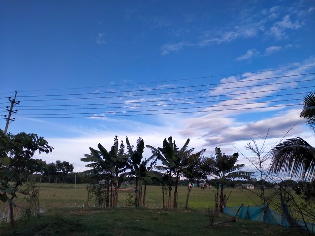 IMG20250703170505.jp