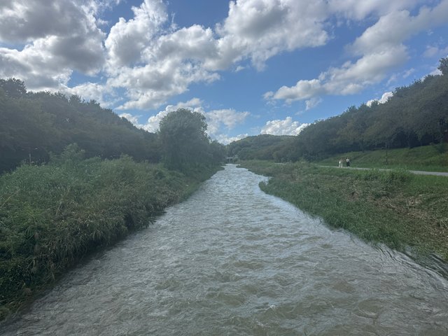IMG_0013.jpeg