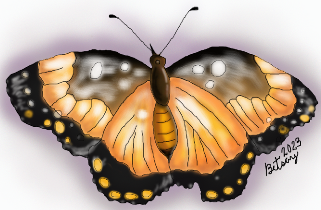 Captura pantalla completa dibujo mariposa coloreo10 photoshop.PNG